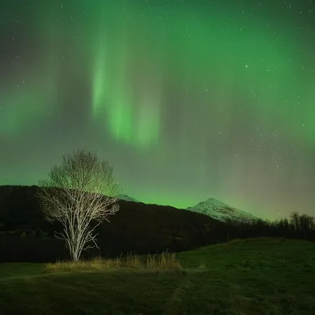 Evenes Artic Glamping