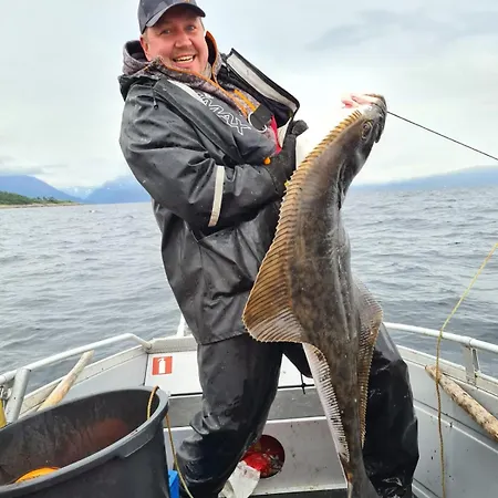 Evenes Artic Glamping * Evenesmarkja