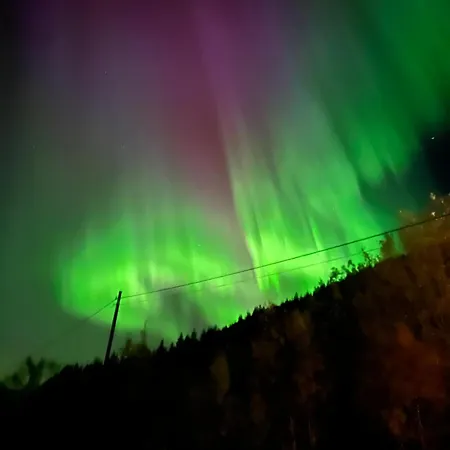 Evenes Artic Glamping