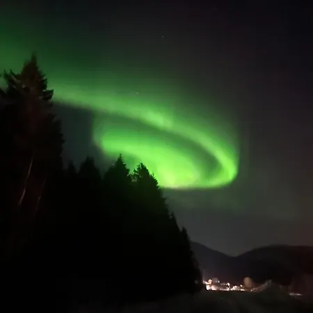 Evenes Artic Glamping